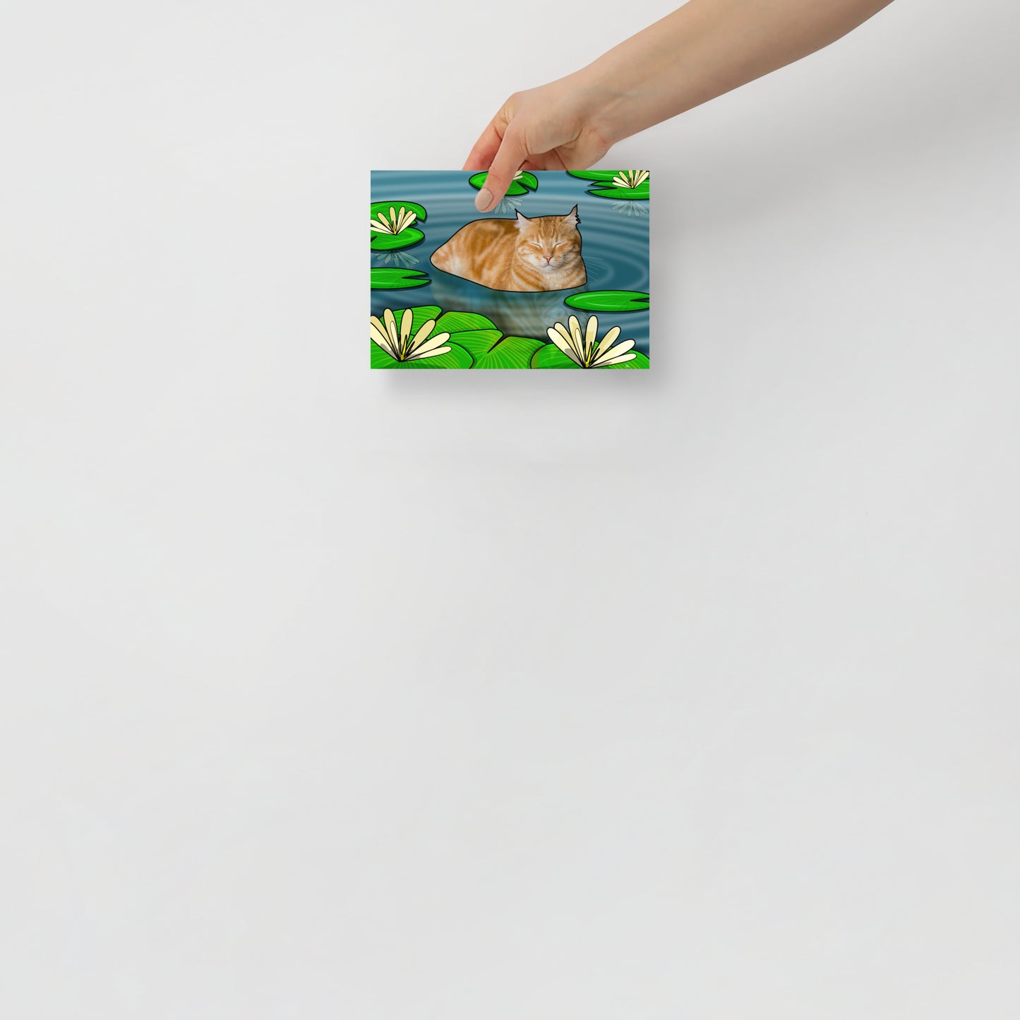 Duck Pond Cat Poster