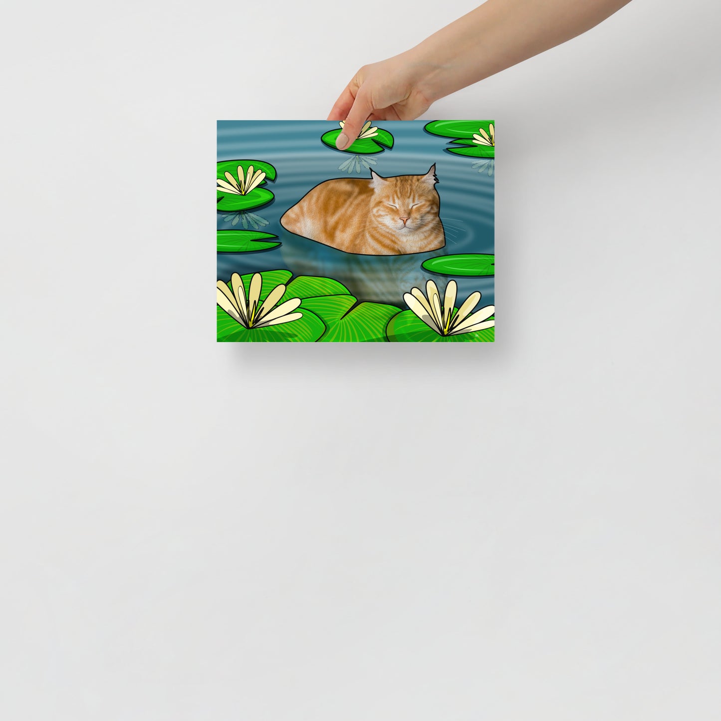 Duck Pond Cat Poster