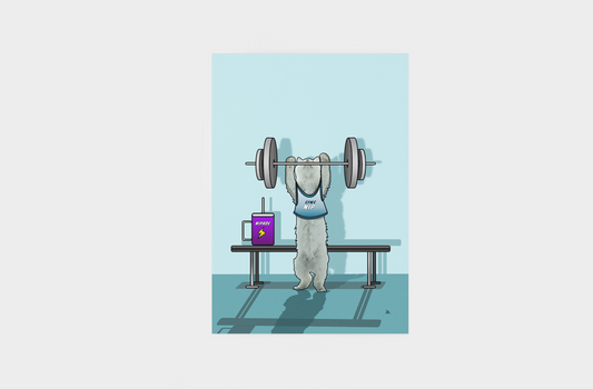 Gym Kitten Poster